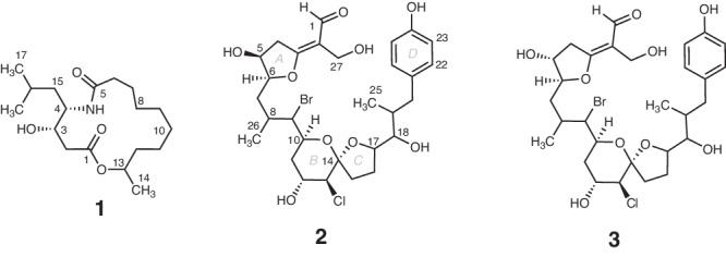 Fig. 3