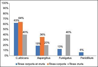 Graph 4