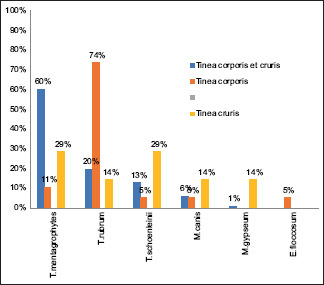 Graph 3