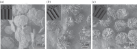 Figure 1.