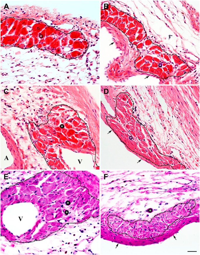 Figure 12.