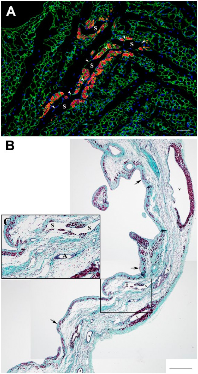 Figure 9.