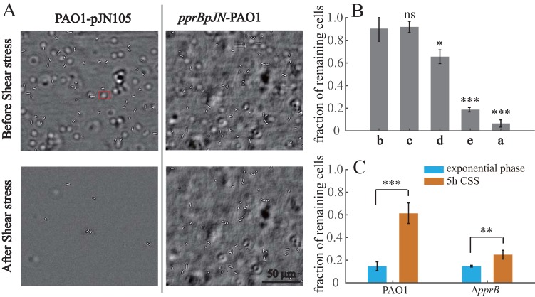 FIG 6