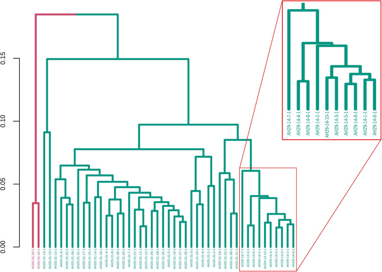 FIGURE 12