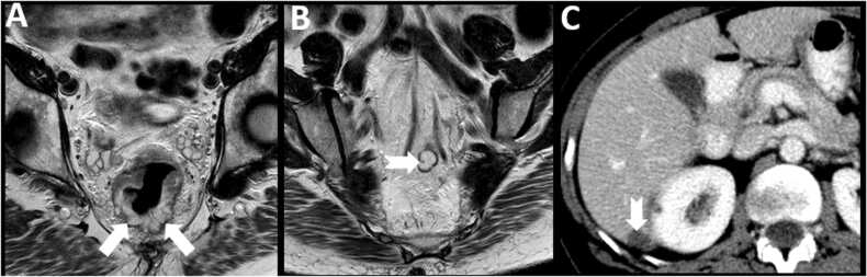 Fig. 7