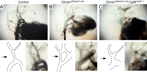 Fig. 8.