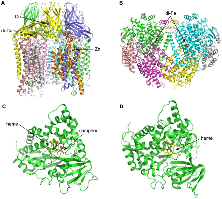 FIGURE 3