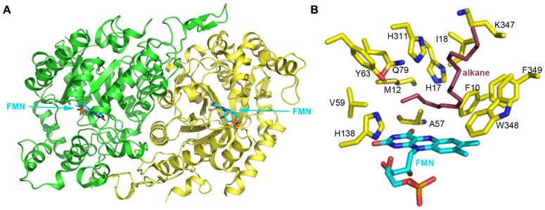 FIGURE 4