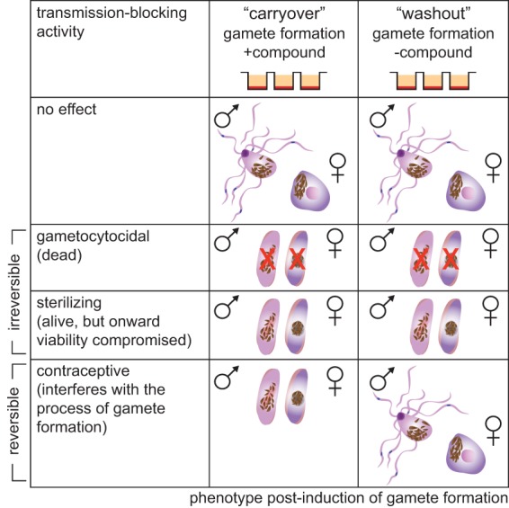 FIG 4