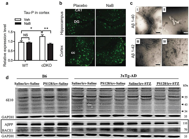 Figure 6.