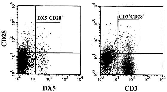 FIG. 12.