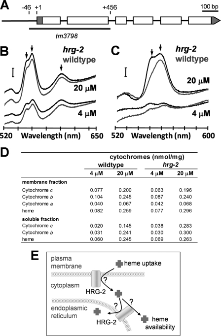 FIGURE 7.