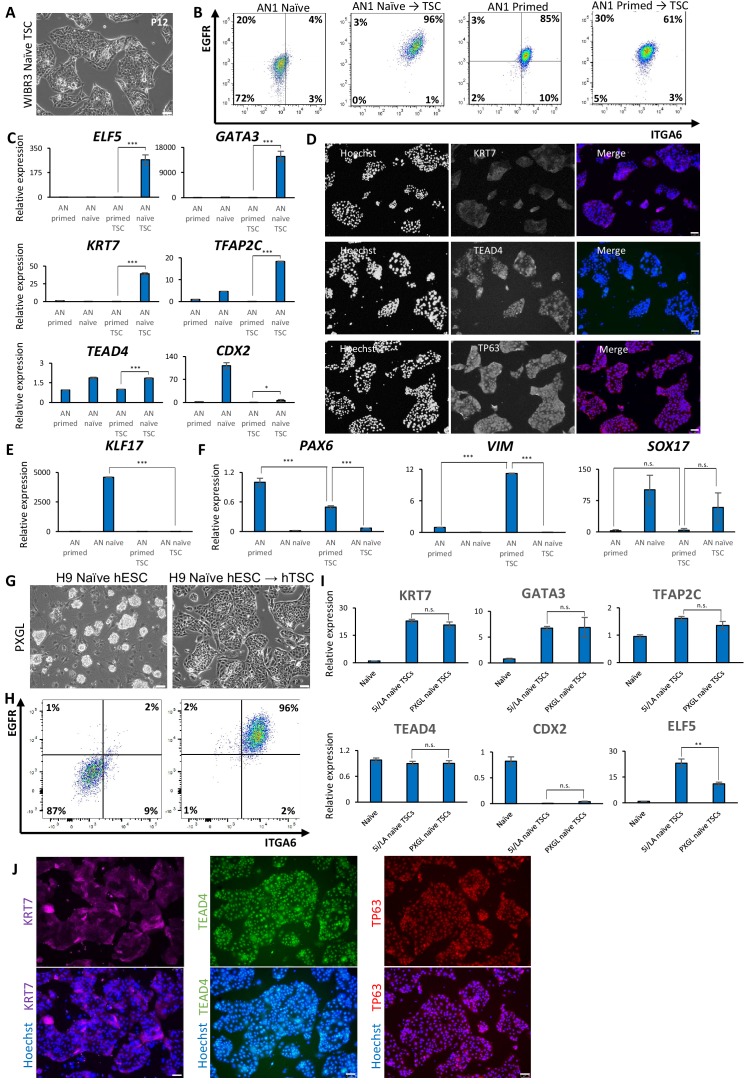 Figure 2—figure supplement 1.