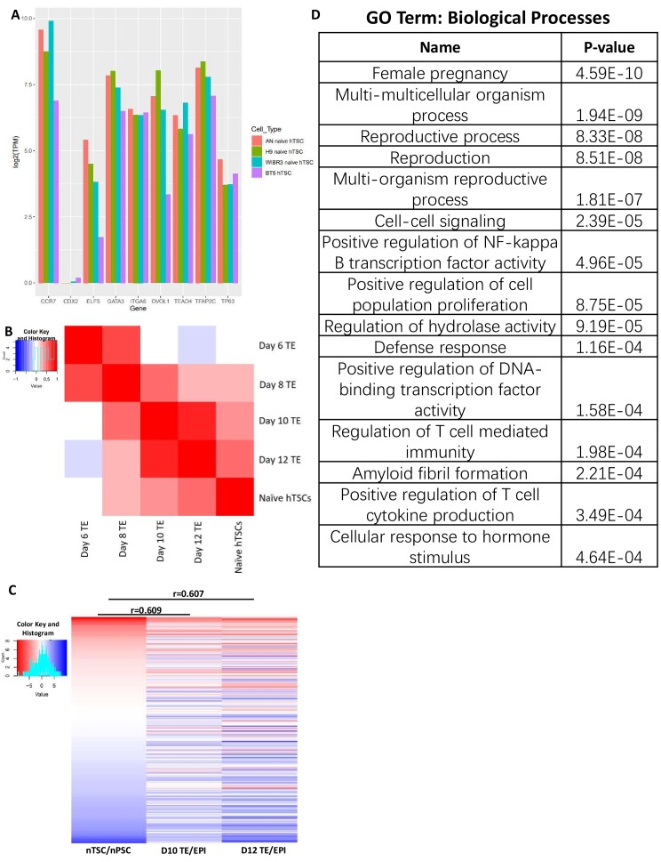 Figure 4—figure supplement 1.