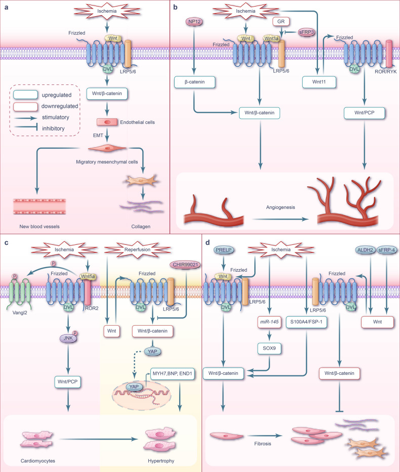 Fig. 3