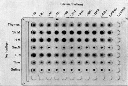 FIG. 5