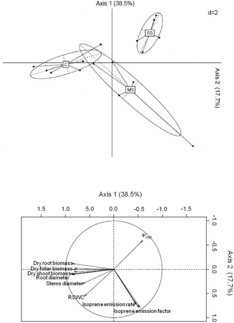 Figure 8