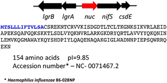 FIG 1