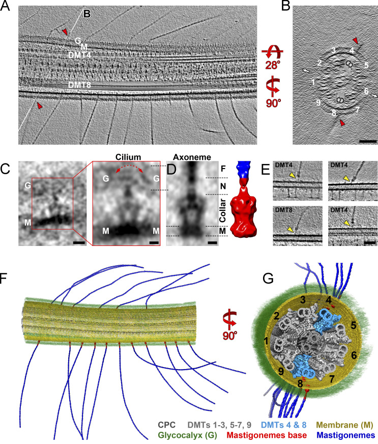 Figure 5.