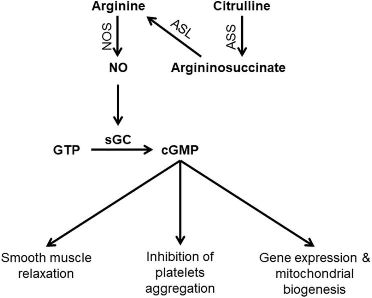 FIGURE 1