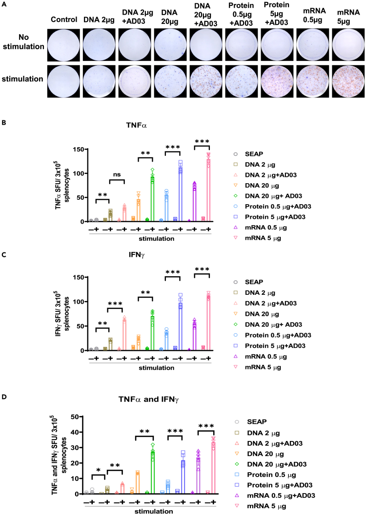 Figure 3