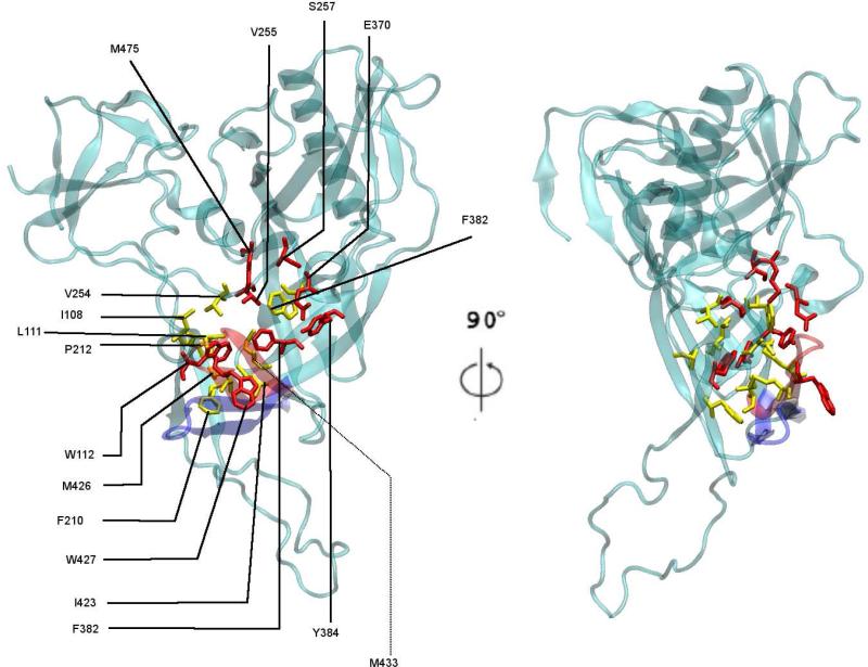 FIG. 4