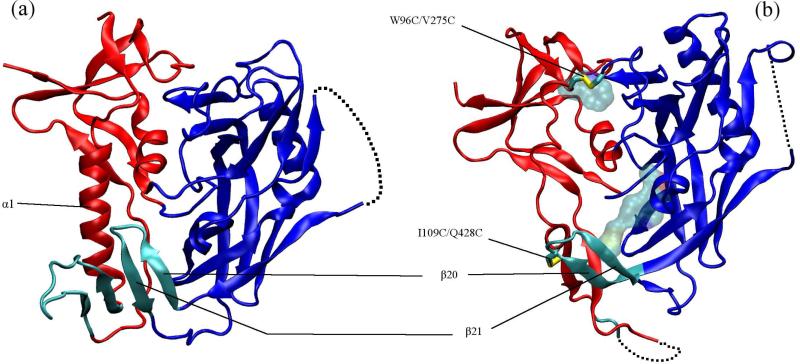 FIG. 1