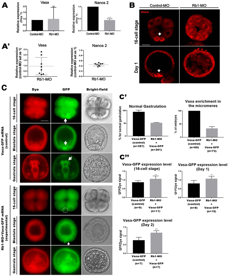 Fig.4.