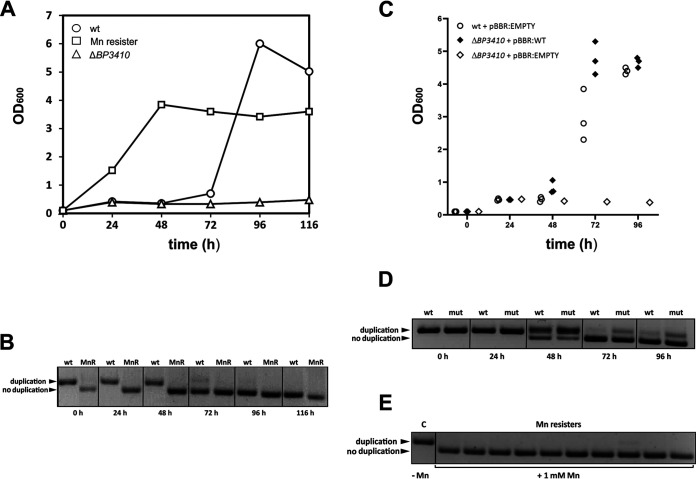 FIG 4