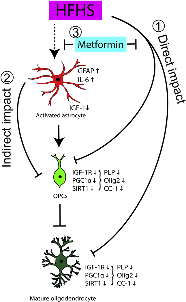 Fig. 8.