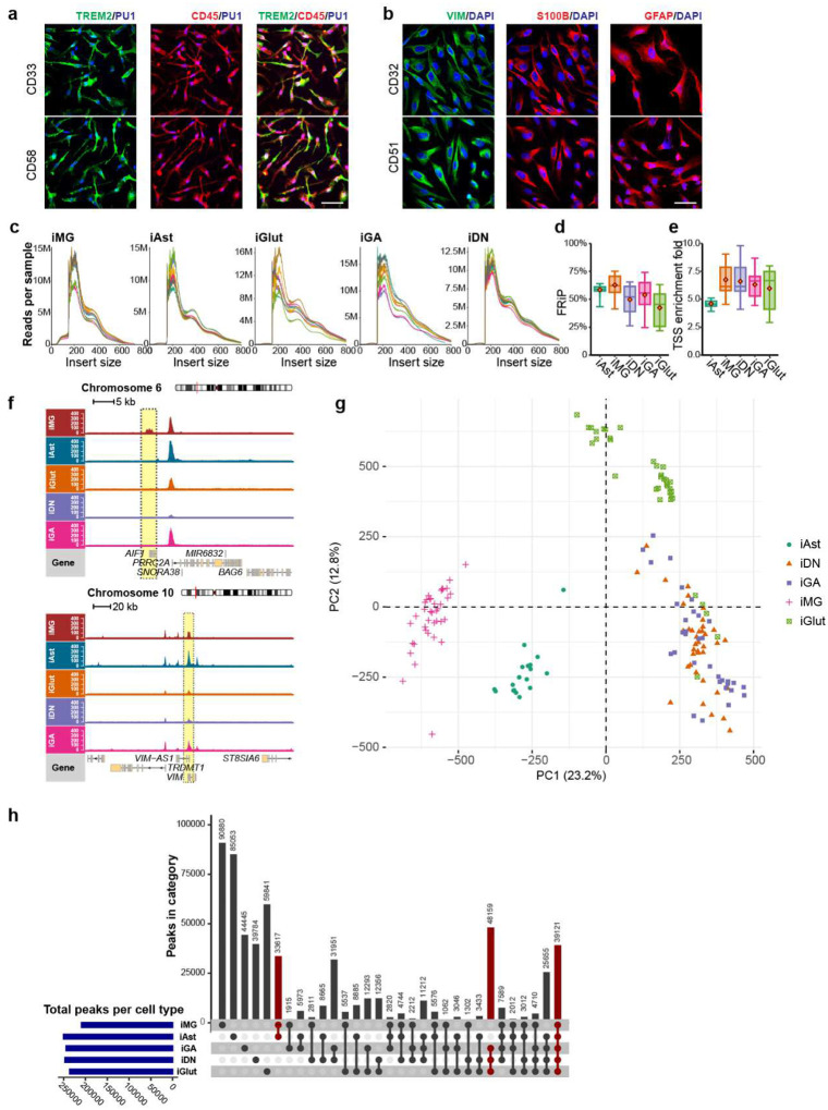 Extended Data Fig. 1.