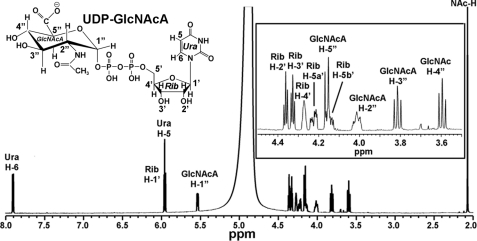 FIGURE 3.