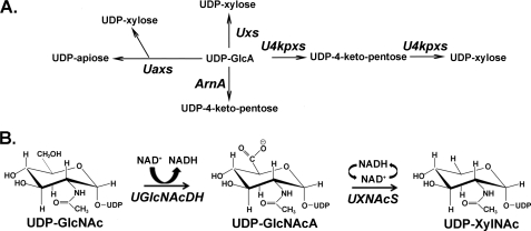 FIGURE 1.