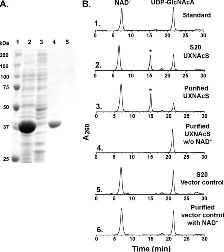 FIGURE 4.