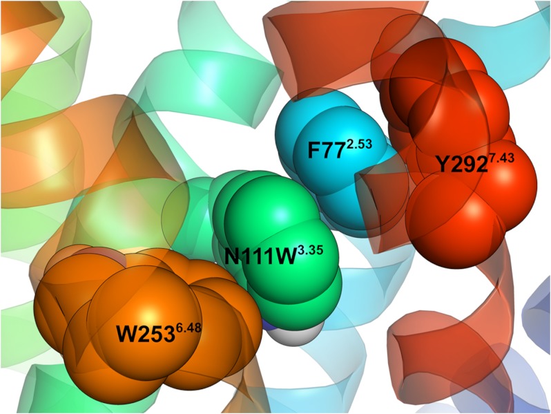 FIGURE 13.