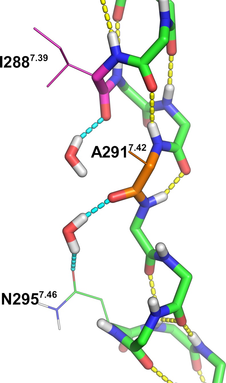 FIGURE 9.