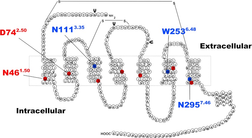 FIGURE 1.