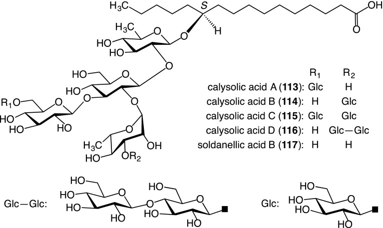 Fig. 9