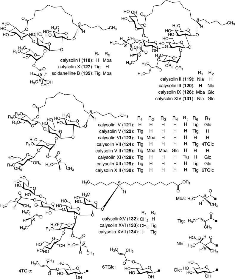 Fig. 10