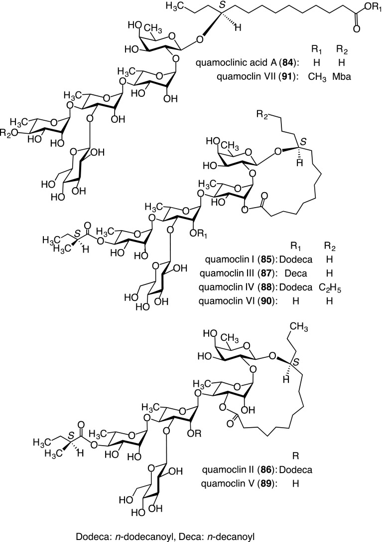 Fig. 7