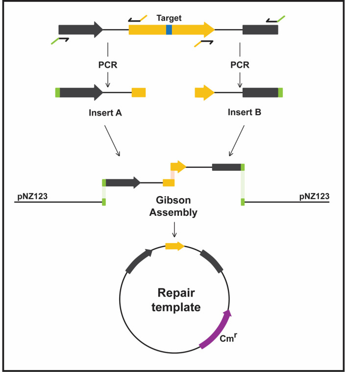 Figure 3.