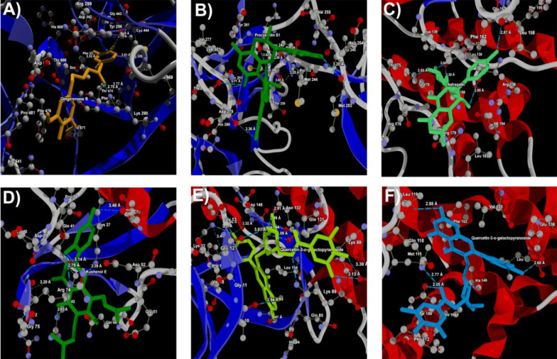 Figure 2.