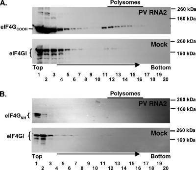 FIG. 9.