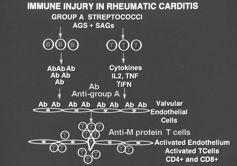 Figure 10.