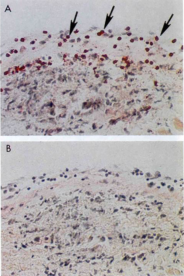 Figure 12.