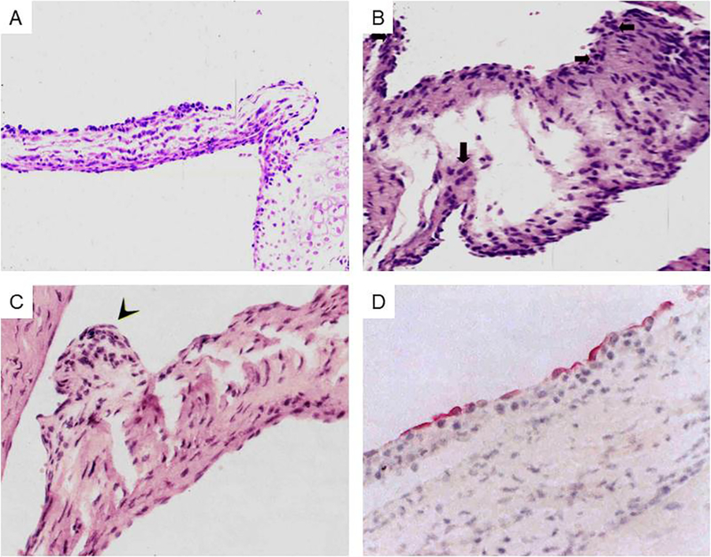 Figure 11.