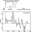 Fig.1