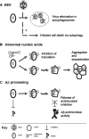 Fig.2