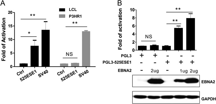 FIG 2