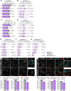 Figure 5—figure supplement 1.
